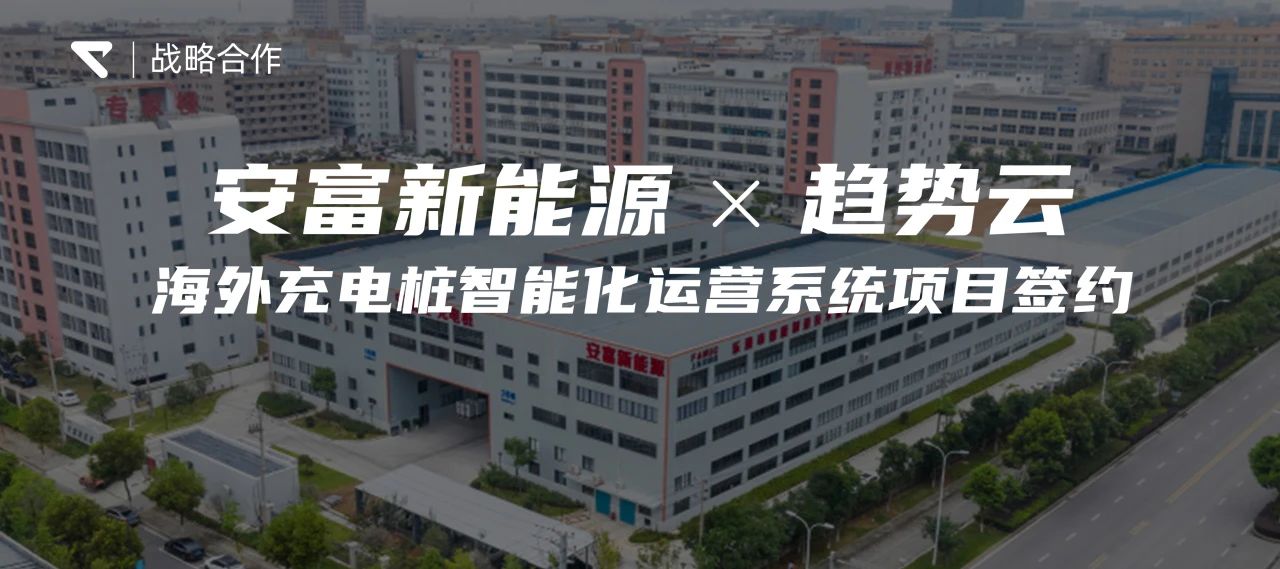 浙江龙头桩企安富成功进军伊朗市场，趋势智能助力或成关键！